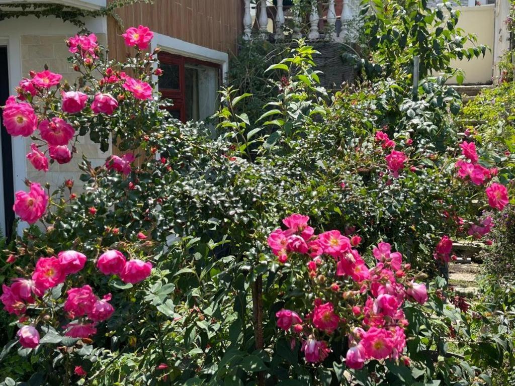 La Roza Dalat Boutique Hotel Exterior photo