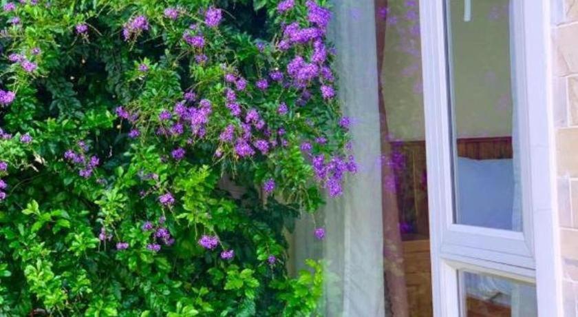La Roza Dalat Boutique Hotel Exterior photo