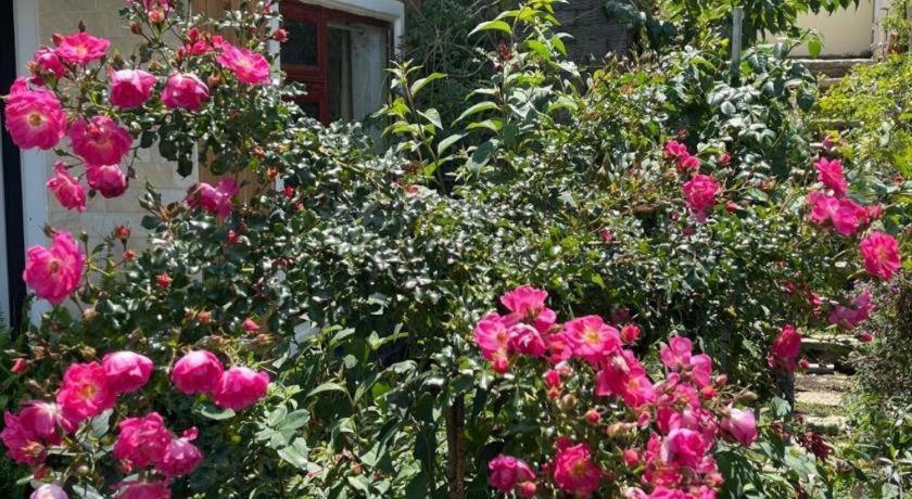 La Roza Dalat Boutique Hotel Exterior photo